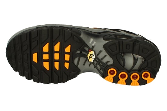 Nike Air Max Plus Gs Black Trainers