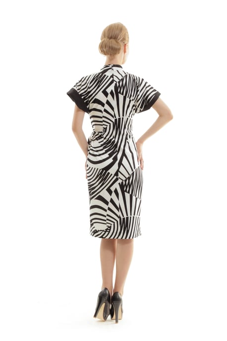 Zebra Print Crossover Dress