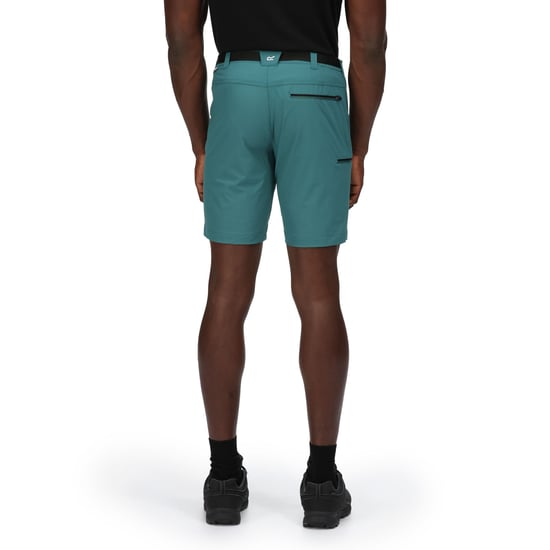 Regatta Heren xert iii stretch shorts - Image 5