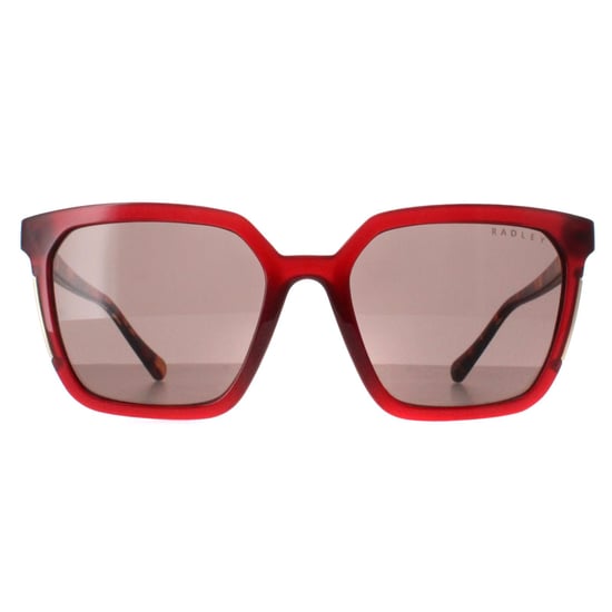 Radley Square Womens Transparent Burgundy Brown Allington 6506