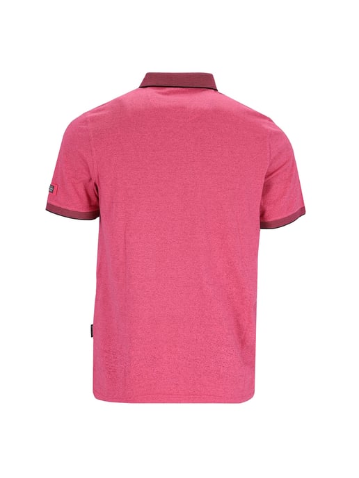 hajo polo - Image 2