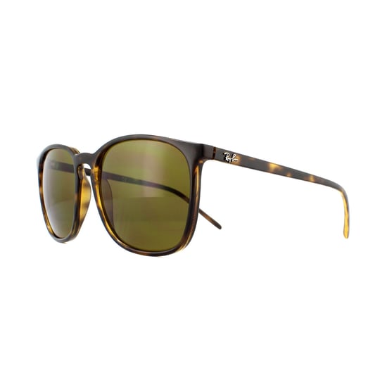 Ray-Ban Sunglasses RB4387 710/73 Tortoiseshell Brown