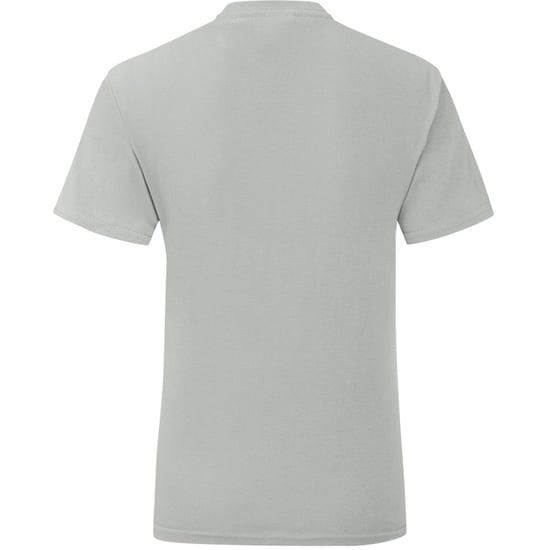 Fruit Of The Loom Mens Iconic T-Shirt (Pack of 5) (Heather Grey)