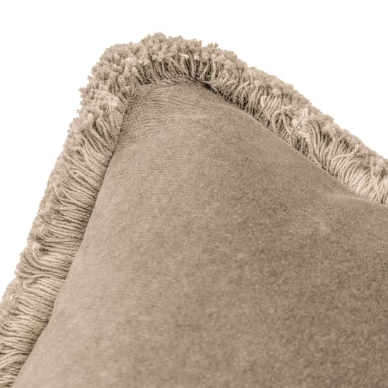 Paoletti Freya Fringed Velvet Cushion Cover
