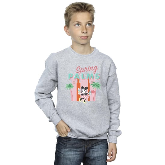 Disney Boys Minnie Mouse Spring Palms Sweatshirt (Sports Grey)
