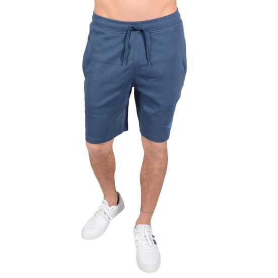 The North Face Mens Graphic Shorts Blue - Image 1