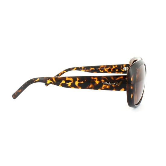 Polaroid Sunglasses 4013/S V08 HE Havana Copper Polarized