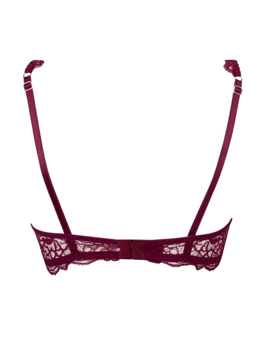 Lise Charmel Sublime En Dentelle Push Up Bra