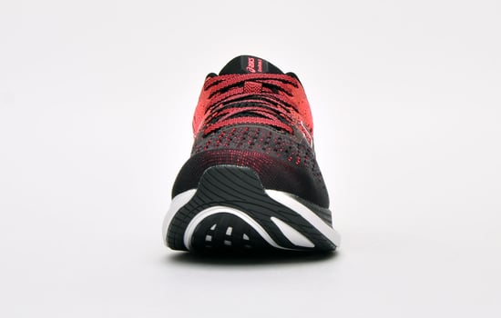 Asics EvoRide 2 Womens