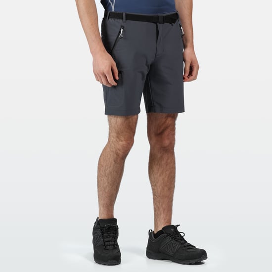 Regatta Heren Xert III Stretch Shorts (Afdichting Grijs) - Image 5