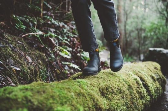 Blundstone #566 Black Thermal Chelsea Boot