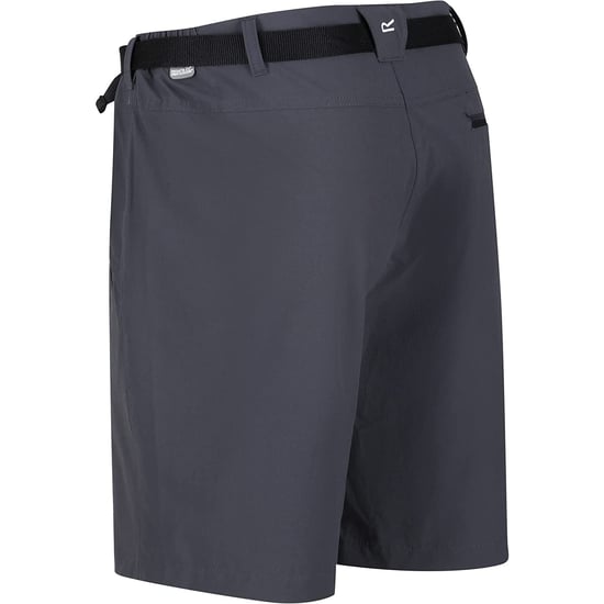 Regatta Heren Xert III Stretch Shorts (Afdichting Grijs) - Image 4