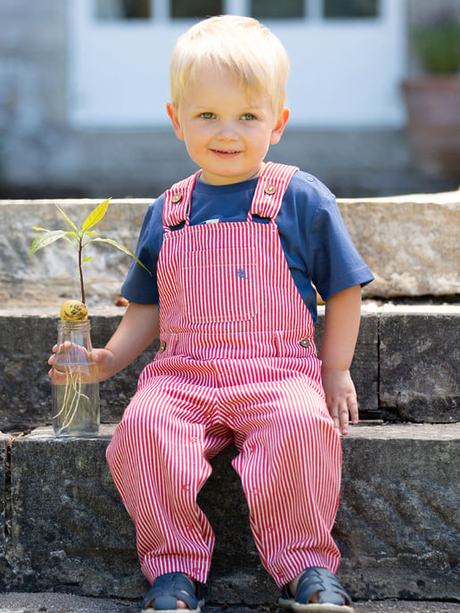 Kite Clothing Ticking Dungarees