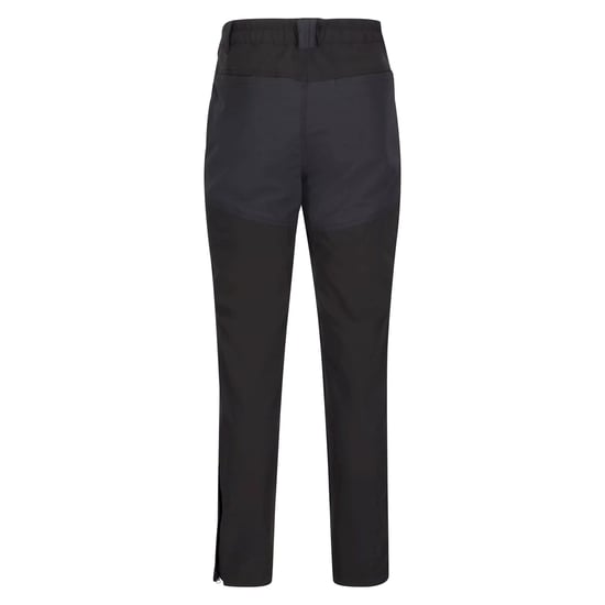 Regatta Mens Questra IV Hiking Trousers (Black)