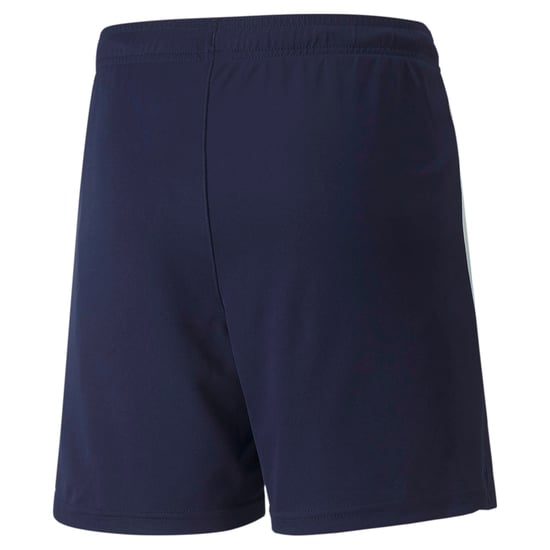 PUMA teamLIGA Youth Football Shorts