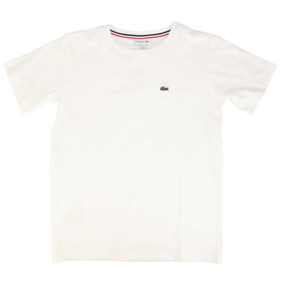 Boy's Lacoste Crew Neck Cotton Jersey T-Shirt in White - Image 1