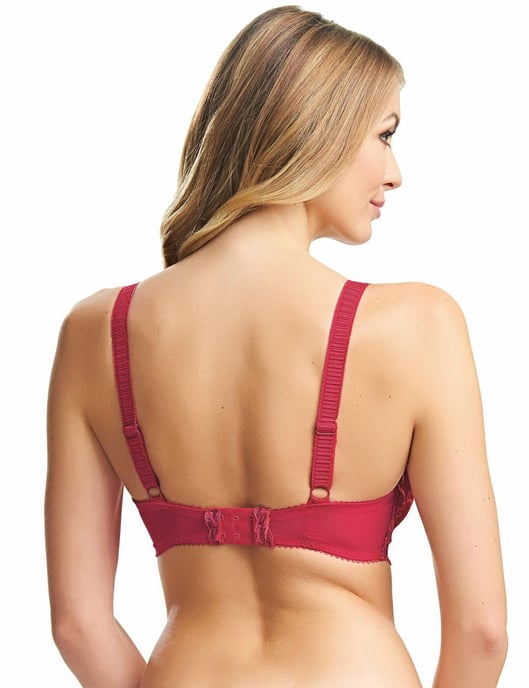 Fantasie Angelina Underwired Vertical Seam Bra