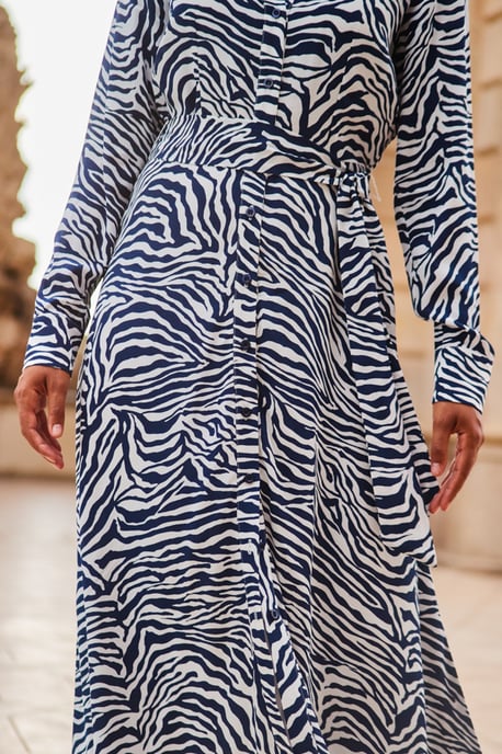 Blue & White Zebra Print Midi Shirt Dress