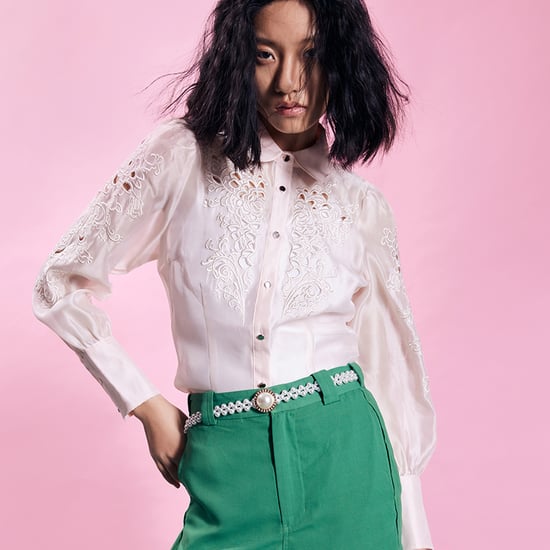 Embroidered Organza blouse