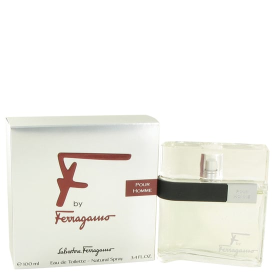 S. Ferragamo F Pour Homme Edt Spray 100 ml - Image 1