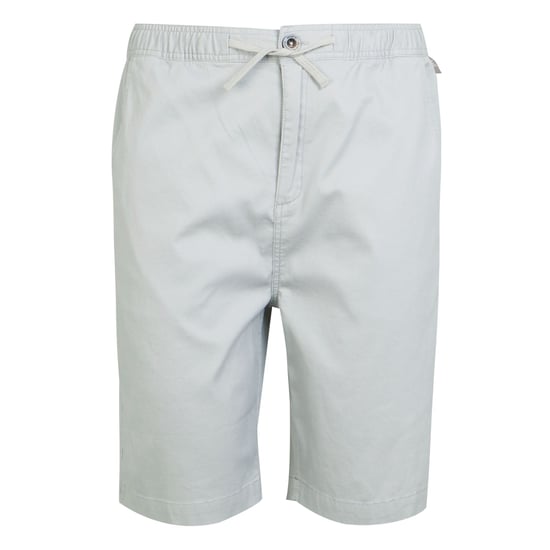 Regatta Heren Aldan Chino Korte Broek (Zilvergrijs) - Image 1
