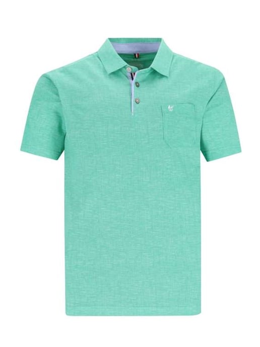 hajo polo - Image 1
