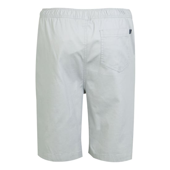 Regatta Mens Aldan Chino Shorts (Silver Grey) - Image 2