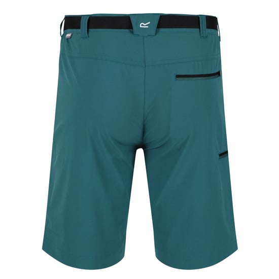 Regatta Heren xert iii stretch shorts - Image 2