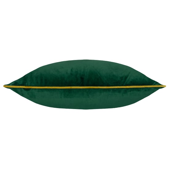 Paoletti Meridian Velvet Cushion