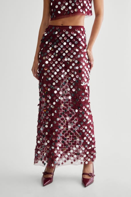 Mesh Embellished Sheer Maxi Skirt
