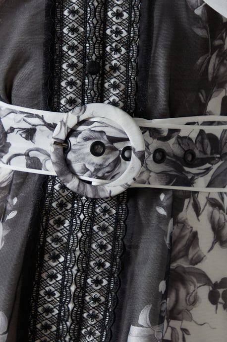 Boarder Printed Organza Shirt Dress