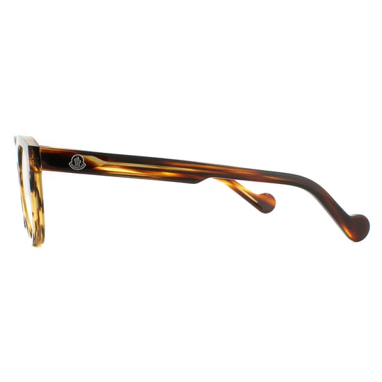 Moncler Round Havana Mens Glasses Frames