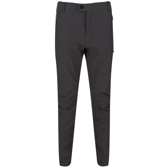 Regatta Mens Highton Hiking Trousers (Magnet)