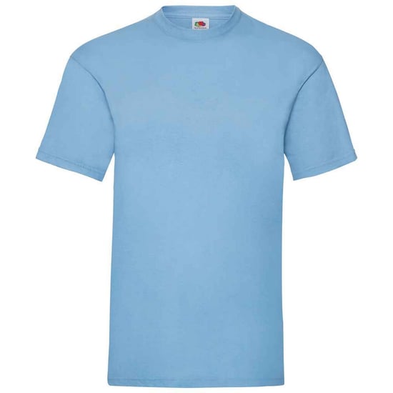 Fruit of the Loom Heren Valueweight T-Shirt (Sky) - Image 1