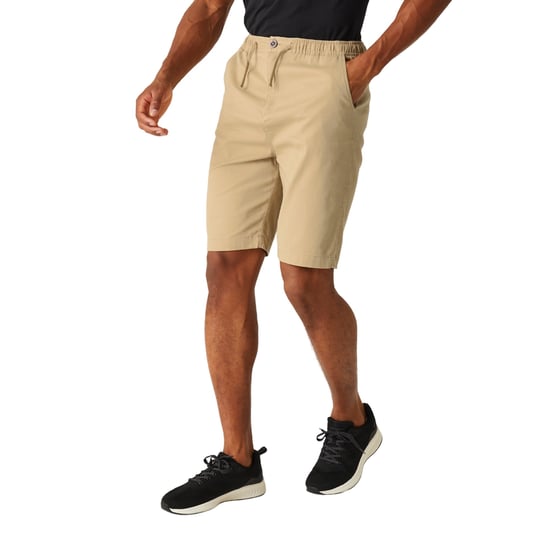 Regatta Mens Aldan Chino Shorts (Havre) - Image 4