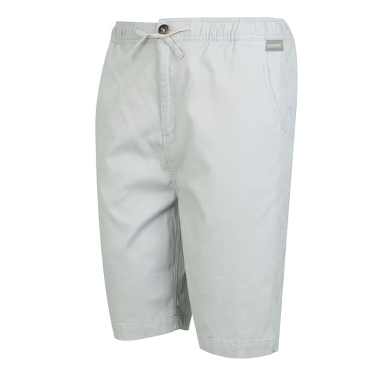 Regatta Mens Aldan Chino Shorts (Silver Grey) - Image 3