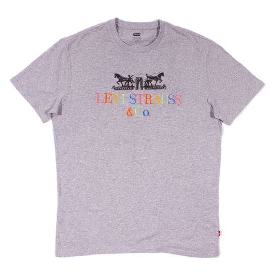 Levi's Men's Grey Varsity 90's T-Shirt - Image 1