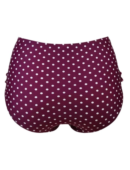 Pour Moi Hot Spots Control Bikini Brief