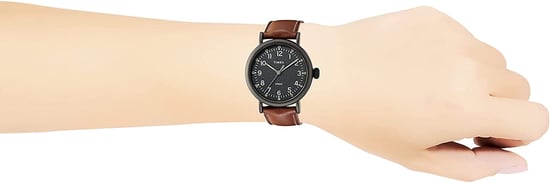 Timex Men's Brown Watch TW2U58600