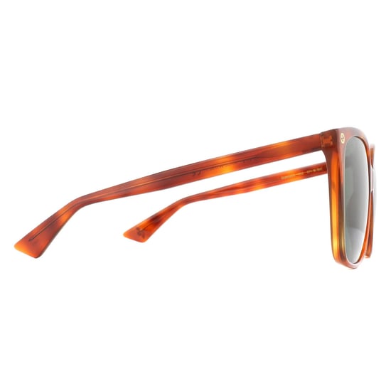 Gucci Sunglasses GG0022S 002 Havana Green
