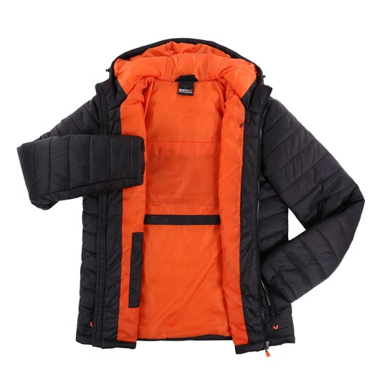 Regatta Mens Thermogen P¬¥cell Warmloft Jacket (Black)