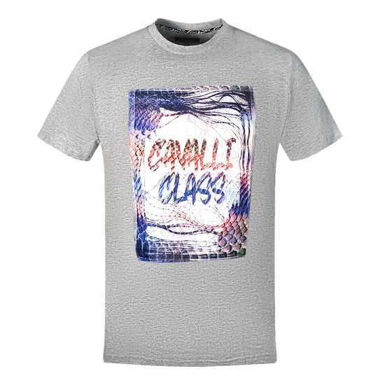 Cavalli Class Box Logotyp Grå T-Shirt - Image 1