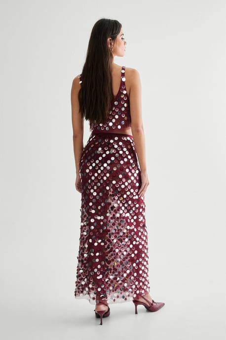 Mesh Embellished Sheer Maxi Skirt