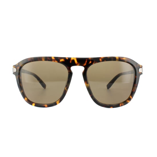 Salvatore Ferragamo Sunglasses SF786S 214 Havana Brown