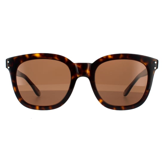 Gucci Square Mens Dark Havana Brown Sunglasses