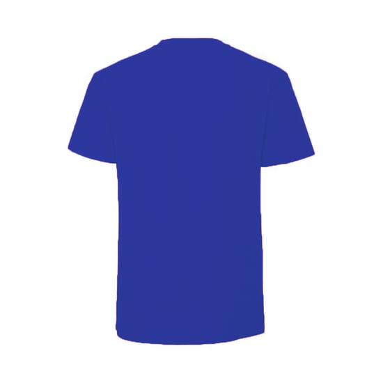 Fruit Of The Loom Mens Iconic 195 Ringspun Premium Tshirt (Royal Blue)