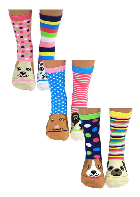 UNITED ODD SOCKS - 6-pack udda damstrumpor i bomull med presentförpackning - Paws - Image 1