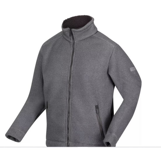 Regatta Mens Garrian II Full Zip Fleece Jacket (Ash)
