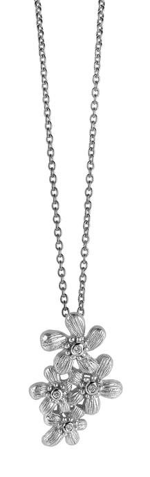 Orphelia Women's 925 Sterling Silver Chain with Pendant - Silver ZH-6026 - Image 2