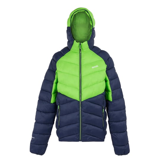Regatta Mens Dalent Hooded Insulated Jacket (Green Flash/Navy)